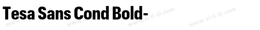 Tesa Sans Cond Bold字体转换 Tesa Sans Cond Bold字体转换